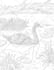 draw a digital hand drawn for coloring book page
