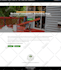 develop wordpress website, ecommerce store, custom website
