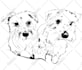 create great line art vector from your photo