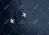 be virtual assistant for your business