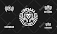 design an express logo for a startup or small business
