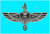 do embroidery digitizing logo or vector line into dst emb pes