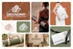 design a custom business logo, brand identity kit, and brand guidelines