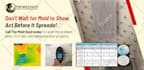make stunning and creative ad image, posts