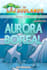 design amazon KDP ebook cover or kindle on ps and canva
