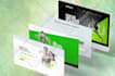 wordpress website development, website redesign