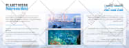 convert the english design to the arabic design rtl