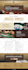 do divi wordpress website or divi theme customization