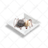 cut out images background remove professionally