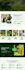 design wordpress website on elementor pro
