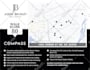 design stunning real estate flyer