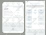 build wordpress website development, business website, wordpress website design