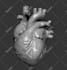 do any 3d model in the program zbrush