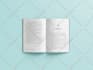 do book formatting, kindle ebook formatting, KDP paperback, and layout design
