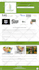 design a professional google sites website for your business