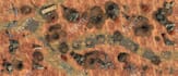 create highly detailed rpg battle maps