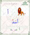 teach, translate, type and record arabic voice overs
