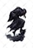 draw your fantasy creature, monster, or character