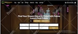 develop business wordpress website or ecommerce wordpress website design