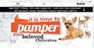 remove malware, virus, remove google blacklist, fix wp issue