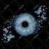 create an amazing unique iris art for you