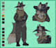 create a reference sheet of your character