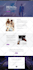 design high converting elementor landing page or wordpress landing page