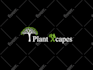 design beautiful lawn care and landscaping logo