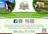 do 2 professionalsflyers and posters in 24 hours