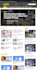 develop an autopilot, autoblog wordpress website for any niche