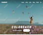 do shopify custom coding or shopify theme customization