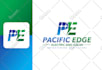 create a professional business logo design or redesign