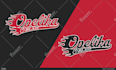 create logo for your baseball softball team and other sports