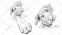 draw a professional dog or cat illustration for you