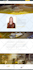 be your divi theme and website developer, designer and wordpress expert