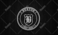 do modern, custom, minimalist, 3d logo for your brand within 24 hours