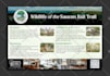 design a professional flyer, poster, door hanger, post card