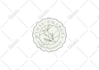 design minimalist hand drawn botanical logo branding
