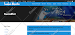 build a responsive wordpress website
