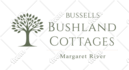 turn your low res logo and images into HD vector files