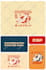 design your brand kit and full visual identity
