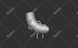 do 3d modeling and texturing