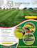 lawn care, roofing, washing, cleaning, postcard, eddm, flyer