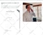 develop website using PHP, codeigniter, laravel, wordpress