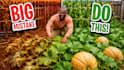 design amazing youtube thumbnail in 2 hours