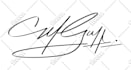 design a real handwritten signature logo or autograph
