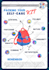 design business, professional and creative infographics