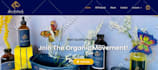design and develop attractive responsive website