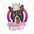 create high quality dogs, cats, pets cartoon logo