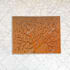 ideally extract background from picture